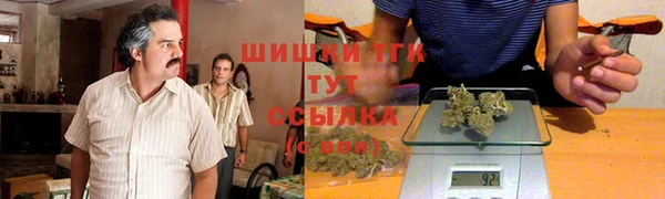 PSILOCYBIN Аркадак