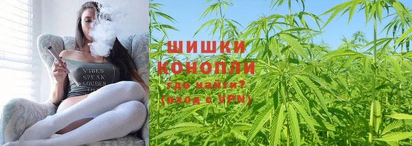 spice Алзамай
