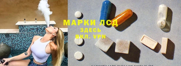 PSILOCYBIN Аркадак